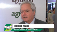¿Cómo gestionar y sacar Leyes con solo 15 de 72 Senadores?; con Federico Pinedo