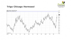 Trigo: mercado internacional sigue superando techos, mientras localmente la molinería trata de ir asegurando mercaderia, con Paulina Lescano - Clínica de Granos
