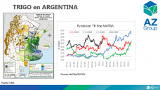 El trigo nuevo con buenos valores pero preocupa el clima, con Lorena D´Angelo - Clínica de Granos
