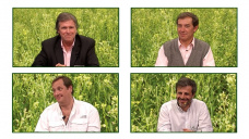 Todo lo que tenes que saber sobre CAMELINA, cultivo de servicios para biocombustibles de avanzada