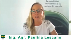 El análisis de los mercados granarios que Paulina Lescano le hizo a los CREA