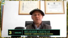 Ganadería, ¿se gana o se pierde?, ¿y en 2024 con vientres a 800 dol. y tern. a 2 dol./ kg?; con B. Castillo - consignatario