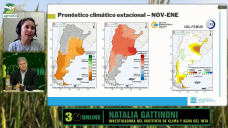 Lluvias con variabilidad climática, Niña acorralada, y ¿pasar del Neutro al Niño?; con N. Gattinoni - INTA Castelar