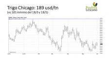 Trigo: ojo que si bien bajaron las estimaciones de producción de Rusia, este ciclo Australia viene 
