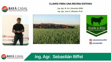 Sebastián Riffel y las claves para una Recría ganadera exitosa en año seco