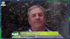 ¿Cómo están rindes y márgenes agrícolas después de las lluvias?; con Gustavo Franco - agrónomo y asesor