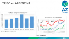 Trigo: La suba externa del precio sólo ayuda a la nueva campaña, con Lorena D´Angelo - Clínica de Granos