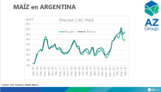 Maíz: El USDA podría recortar la cosecha estadounidense, con Lorena D´Angelo - Clínica de Granos