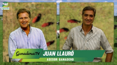 Buenos precios, invernada y feedlots activos, más forrajes, ¿exportación?; con Juan Llauró 