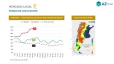 Trigo: Las lluvias consolidan una campaña excepcional en Argentina; con Clara Treachi - Clínica de Granos