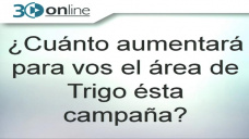 30 online B4: ¿Cuánto aumentará el área y la producción de Trigo ésta campaña?; con R. Bindi y C. Curci