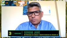 ¿Cómo apalancarnos en esta volatilidad de precios?, ¿vendemos maíz y soja?; con Sergio Juvé - analista de Roagro