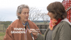 Uruguay TV: Una referente mundial del bienestar animal estuvo en Durazno hablando sobre manejo de rodeo