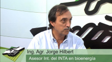 TV: Qué es la biomasa y cuáles son los planes para Argentina; con J. Hilbert - INTA