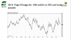 Trigo: las mejores zonas compensan las perdidas de las zonas mas secas?, con Paulina Lescano - Clínica de Granos