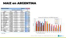 Maíz: Mejoro más el precio en Argentina que en EE.UU.; con Lorena D´Angelo - Clínica de Granos