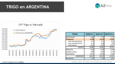 Trigo: con el fracaso de la cosecha, ¿hay negocios?, con Lorena D´Angelo - Clínica de Granos
