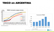 Trigo: con la cosecha hay más negocios, para estar atentos; con Lorena D´Angelo - Clínica de Granos