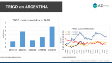 Trigo: el cereal nuevo llegó a usd 220 ¿seguirá mejorando?; con Lorena D´Angelo - Clínica de Granos