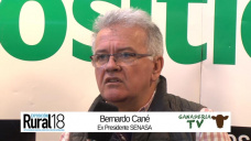 Ganad TV B1: ¿Estamos bien sanitariamente para un Boom Ganadero?; con B. Cané - ex Pres. SENASA