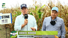 Lo nuevo en mejoramiento de maíz para cosechar super altos rindes; con Daniel Novoa - Fitomejorador