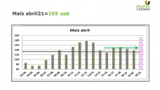 Maíz: maíz nuevo cerca de los 200 usd, mientras el calor sigue y esperamos las lluvias, con Paulina Lescano - Clínica de Granos