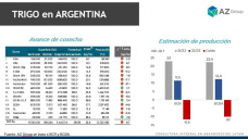 Trigo y una menor cosecha local, ¿y...?, con Catalina Ferrari - Clínica de Granos