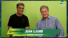 Ganadería 2025 con foco en: pasturas, cría e invernada de precisión, y exportación de calidad; con Juan Llauró - administrador
