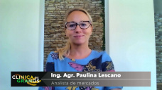 Soja: una cosa es una cosa y otra cosa es la cuestión, con Paulina Lescano - Clínica de Granos