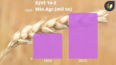 Trigo: recalculando? en un mes el trigo nuevo, perdió 15 usd/tn, con Paulina Lescano - Clínica de Granos