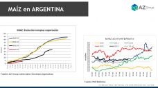 Maíz: Ni con el 50/50 se activan los negocios de maíz, con Lorena D´Angelo - Clínica de Granos