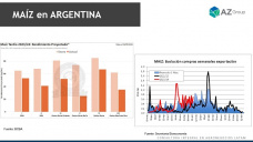 Maíz: Menos cereal en cada día que pasa; con Lorena D´Angelo - Clínica de Granos
