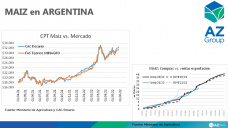Los exportadores están vendidos el maíz y pagan arriba del precio internacional, con Lorena D´Angelo - Clínica de Granos
