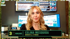 Mercado mundial de Granos sobre-ofertado y estrategias para 