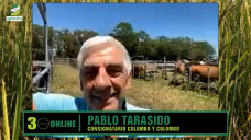 ¿Cual será el mejor negocio Ganadero con pasto y buenos precios?; con Pablo Tarasido - consignatario