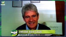 Dudas del productor: ¿esperar que bajen los insumos, ó arriesgar a que falten?; con Enrique Baya Casal