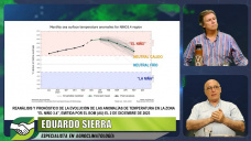 ¿Cómo siguen el Niño y el impacto del 