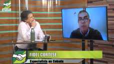 El mundo sale a las calles, toma mucha cerveza, ¿va a cotizar tener Cebada en Diciembre?; con Fidel Cortese