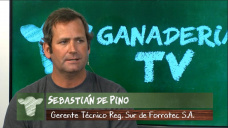 Ganad. TV B2: ¿Estamos -empatanados- en el manejo forrajero de la hacienda?; con S. de Pino