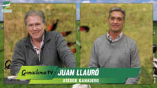 Cuando el #BoomGanadero avanza sobre lotes agrícolas, con más inversión y mayor rentabilidad; con Juan Llauró - asesor