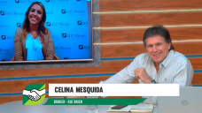 ¿Qué está pasando con el clima, los rindes y el precio en EEUU?; con Celina Mesquida