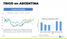 Trigo: hay mucho cereal sin vender; con Lorena D´Angelo - Clínica de Granos