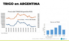 Trigo: el 2024 cerró con saldo negativo para el cereal, ¿mejorará?; con Lorena D´Angelo - Clínica de Granos