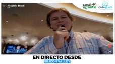 30 online B2: El Silicon Valley ¿se puede replicar en Argentina?; con R. Bindi