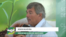 La habilitación del Trigo HB4, ¿nos cierra puertas en los mercados?; con J. Silveyra