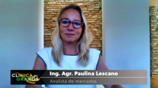 Soja: de vuelta al comienzo, Chicago ya perdió todo lo que ganó en diciembre; con Paulina Lescano