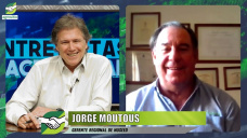 El año del Girasol y los famosos híbridos Paraíso en manos de Nuseed; con Jorge Moutous - fitomejorador