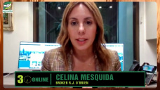 ¿Impactará la caída de Soja y Maíz argentino en Chicago y China?; con Celina Mesquida - R.J.O´Brien