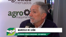 El sorgo potencia la oferta forrajera, con solidez y un buen balance nutricional; con M. De León 