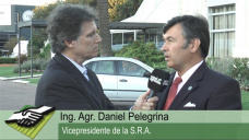 TV: ¿Por qué le lechería de la región se inserta en el mundo y la Argentina no lo logra?; con D. Pelegrina